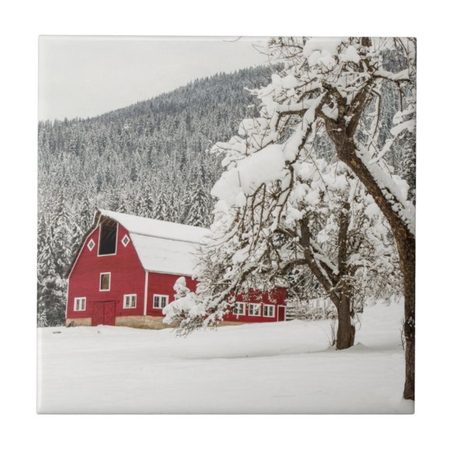 Fresh snow on red barn tile (Front)