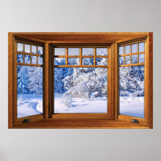 Fresh Snow Winter View - Fake Window Illusion Poster (Front)