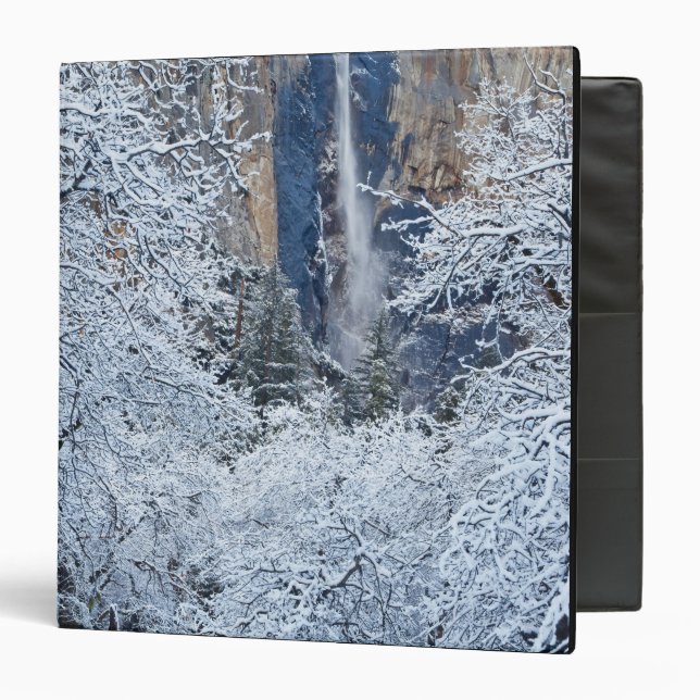 Fresh snowfall in the trees below Bridalveil Binder (Front/Inside)