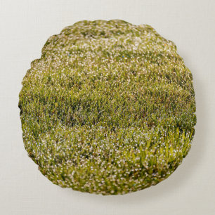 Fresh spring green grass background, with bokeh ef round pillow