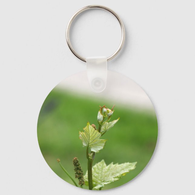 Fresh sprouts of grape vine keychain (Front)