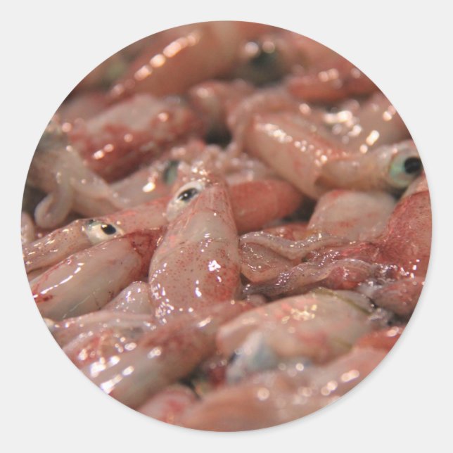 Fresh Squid Stickers (Front)