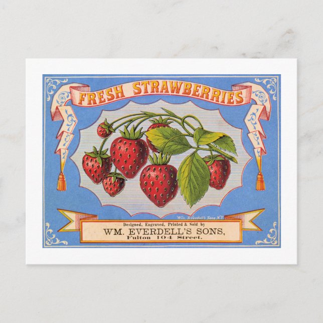 Fresh Strawberries Postcard (Front)