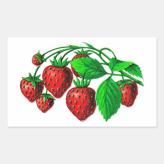 Fresh Strawberries Sticker (Front)