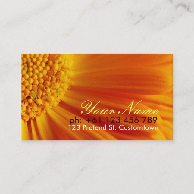 Fresh Surprise 2 Business Card (Front)