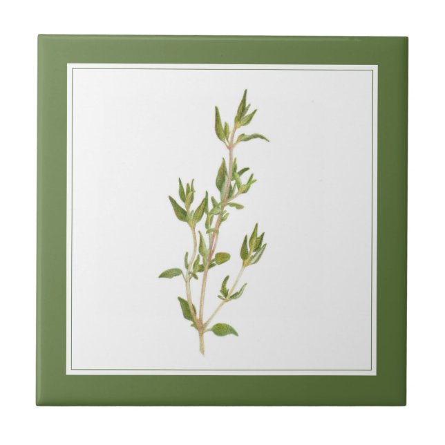 FRESH THYME 4.25x4.25 Ceramic Tile (-text) Green (Front)