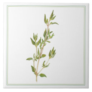 FRESH THYME 6x6 Ceramic Tile (-text)