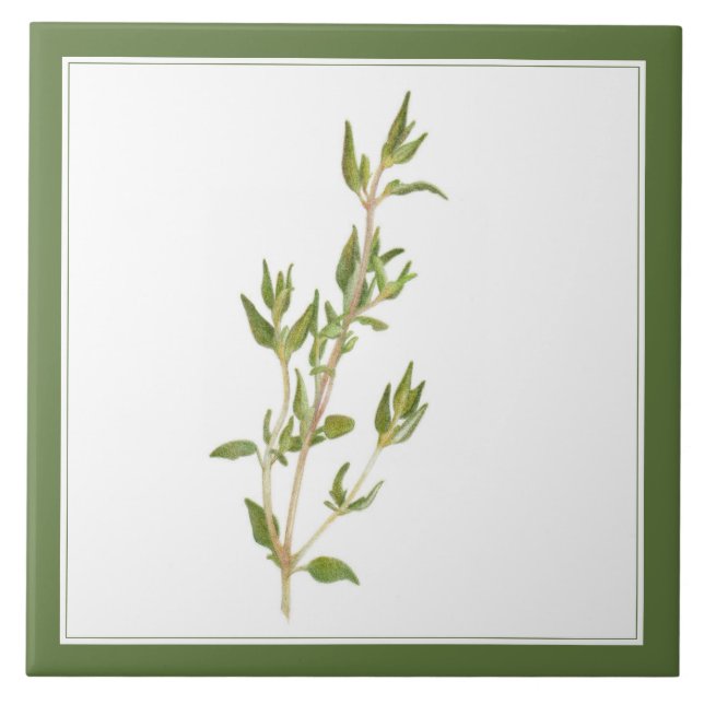FRESH THYME 6x6 Ceramic Tile (-text) Green (Front)