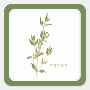 FRESH THYME Small Square Stickers - Green