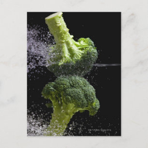 Fresh Vegetables & Food Hygiene Postcard