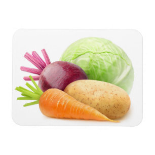 Fresh vegetables magnet