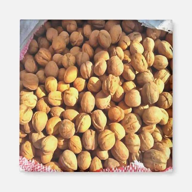 Fresh Walnuts Hyperrealistic Painting Magnet (Front)