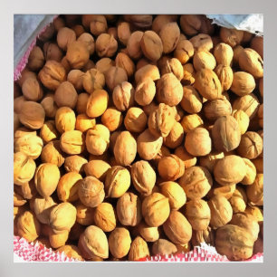 Fresh Walnuts Hyperrealistic Painting Poster