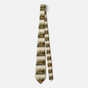 Fresh Water Marsh Hen - Audubon's Birds of America Tie