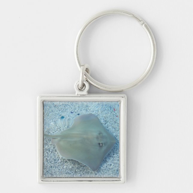Fresh Water Stingray Keychain (Front)