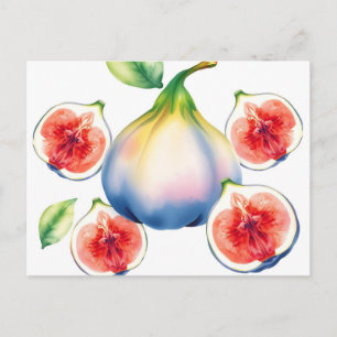 Fresh Watercolor Fig with Soft White Postcard