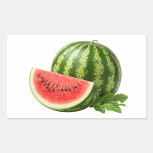 Fresh Watermelon Slice And Whole Fruit Sticker