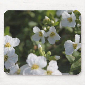Fresh white summer garden flowers and green leaves mouse pad