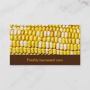 freshly harvested corn business card
