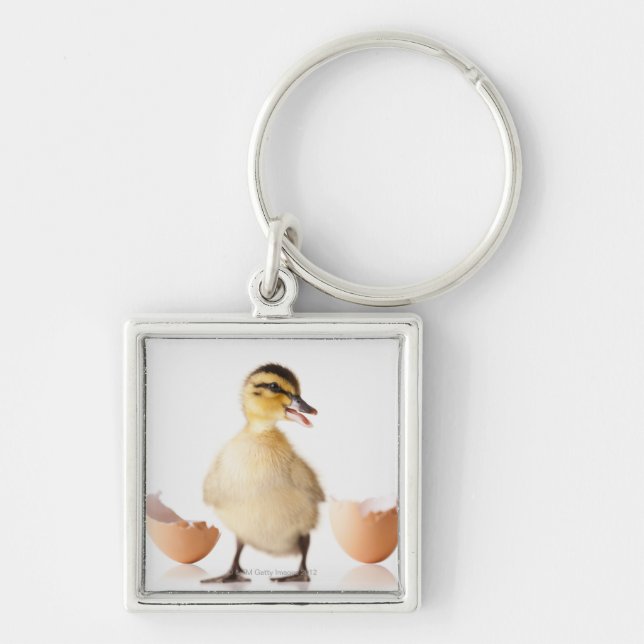 Freshly hatched chick beside broken egg shell keychain (Front)