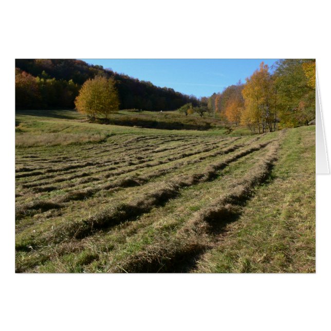 Freshly Mown Fields (Front Horizontal)