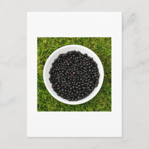 Freshly Picked Blackcurrants Postcard