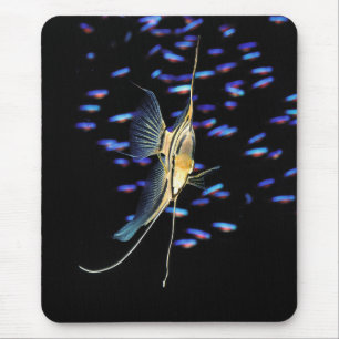 Freshwater Angelfish + Cardinal Tetras Mouse Pad