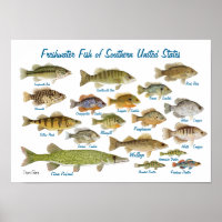 Freshwater Fish of Southern United States