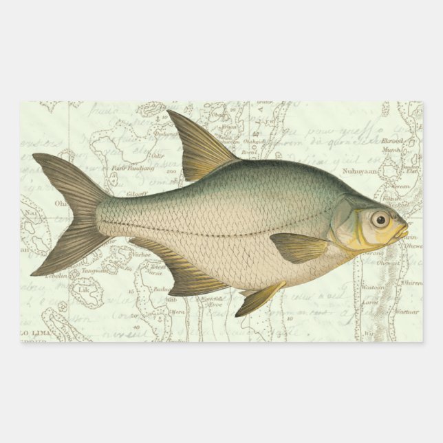 Freshwater Fish on Map Sticker (Front)