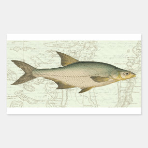 Freshwater Fish on Map Sticker