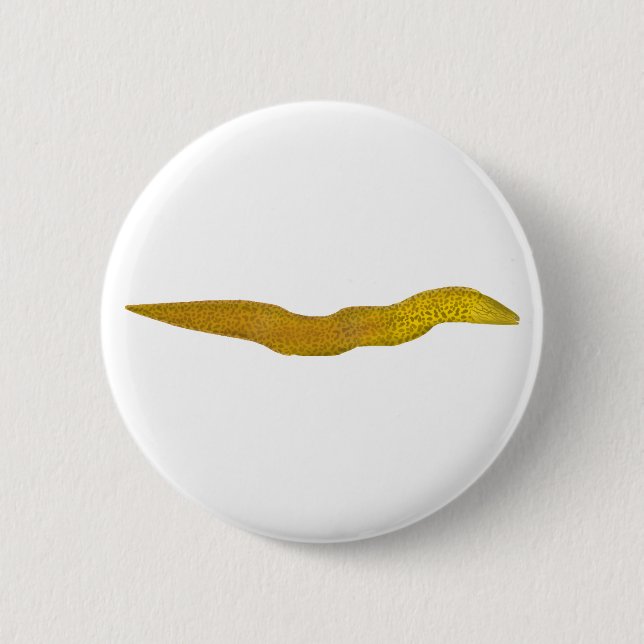 Freshwater Moray 2 Inch Round Button (Front)