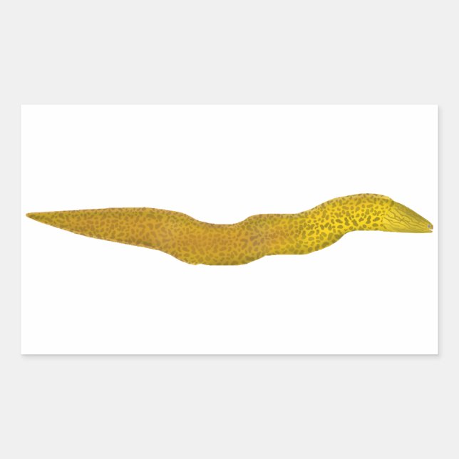 Freshwater Moray Sticker (Front)