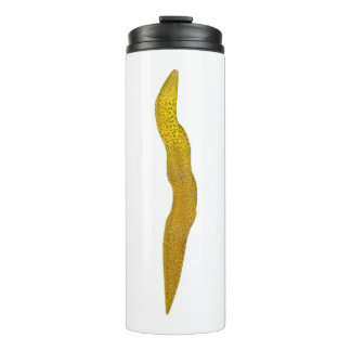 Freshwater Moray Thermal Tumbler
