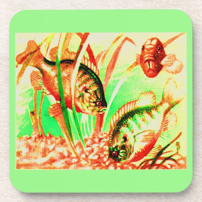 freshwater sunfish coaster (Front)
