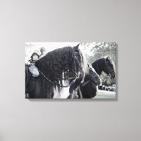 Fresian, Horses