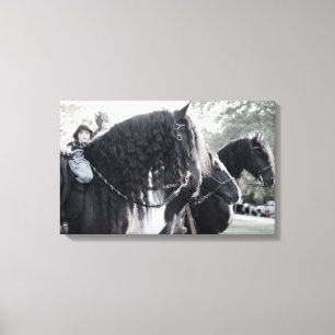 Fresian, Horses Canvas Print