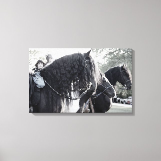 Fresian, Horses Canvas Print (Front)