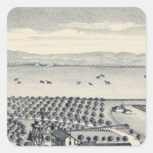 Fresno County, California 20 Square Sticker