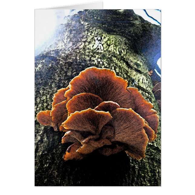 Fresque de champignon (Devant)