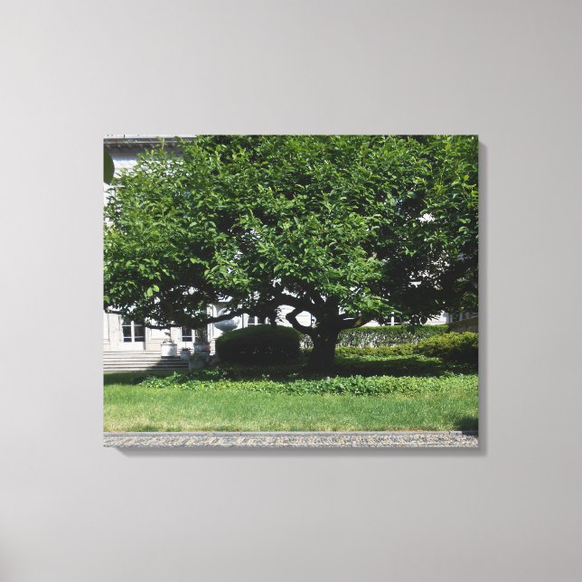 Frick Musuem Canvas Print (Front)