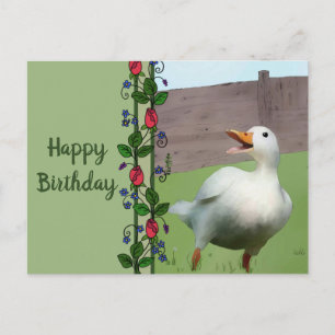 Frida Postcard