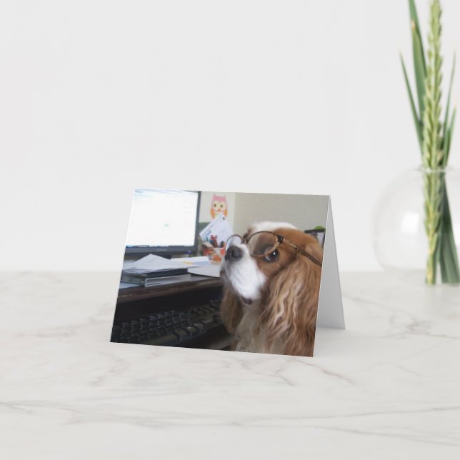 Friday Cavalier King Charles Spaniel at the office Card (Front)