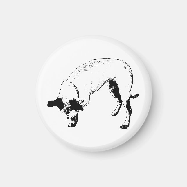 Fridge Bashful Terrier Magnet (Front)