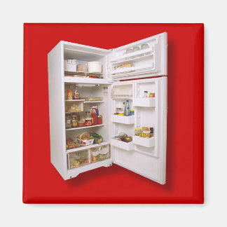 FRIDGE DOOR FOR YOUR FRIDGE DOOR Magnet