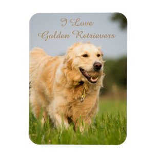 Fridge Magnet with Golden Retriever and Slogan