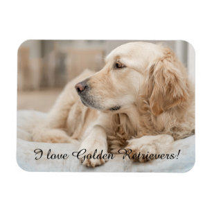 Fridge Magnet with Golden Retriever and Slogan
