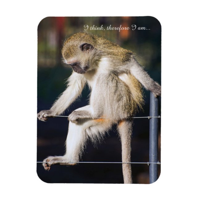 Fridge Magnet with Monkey and Slogan (Vertical)
