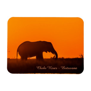 Fridge Magnet with silhouette of Elephant