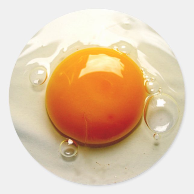 Fried Egg "Sunny side up" Photo Classic Round Sticker (Front)