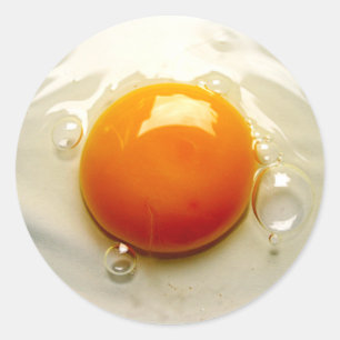Fried Egg "Sunny side up" Photo Classic Round Sticker